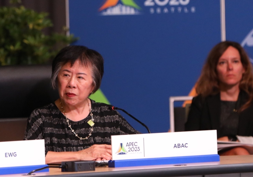 Ginger Lew attends the 2023 Energy Ministerial Meeting to present the recommendations from ABAC.